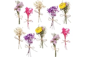 VAIPI 10 Pack Mini Dried Babys Breath Flowers Bouquet Natural Gypsophila Dried Flower with Stem Dried Embossing Flower Bundles Artificial Flower Dried Floral Arrangement for Vase, DIY, Photo Prop