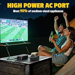 2PCS 300W Battery Charger Compatible with