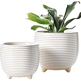 LE TAUCI Ceramic Plant Pots, 5.1 + 6.4 Inch Footed Pots for Plants, Modern Flower Pots for Home and Office, Indoor Planters with Drainage, Reactive Glaze White