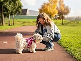 Suitical Recovery Suit Dog XX-Small Pink Camouflage view 5