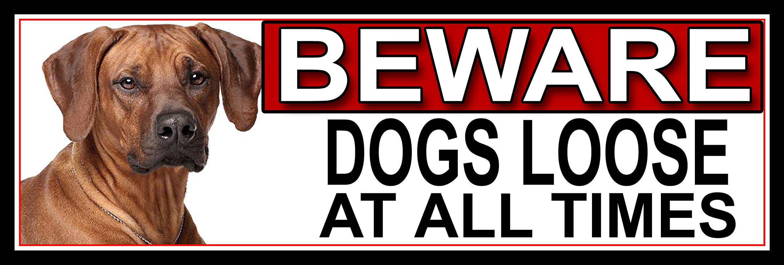 SHAWPRINT Rhodesian Ridgeback BEWARE DOGS LOOSE AT ALL TIMES METAL GATE SIGN 266mm x 87mm. (402H2)