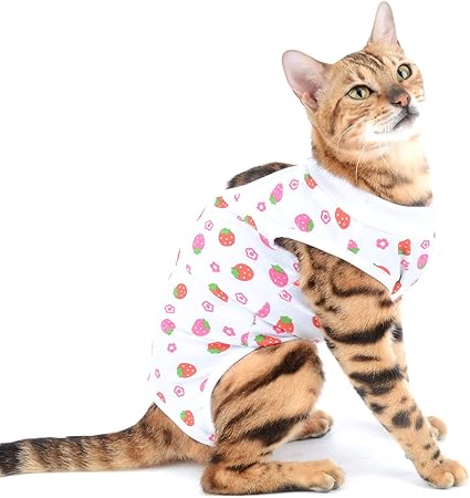 post surgery cat shirt