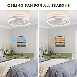 LUDOMIDE Ceiling Fans with Lights and Remote Flush