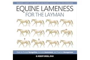 Equine Lameness for the Layman: Tools for Prompt Recognition, Accurate Assessment, and Proactive Management