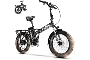 AULOOR 1000W Folding Electric Bike, 48V 20AH Large Removable Battery E Bike,30+MPH, 80 Miles Max Range, 20" Fat TireElectric Bike for Adults, Adult Electric Bicycles for CommuteBeach Snow