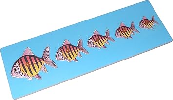 Kido Toys Size Variation Inset Board Fish