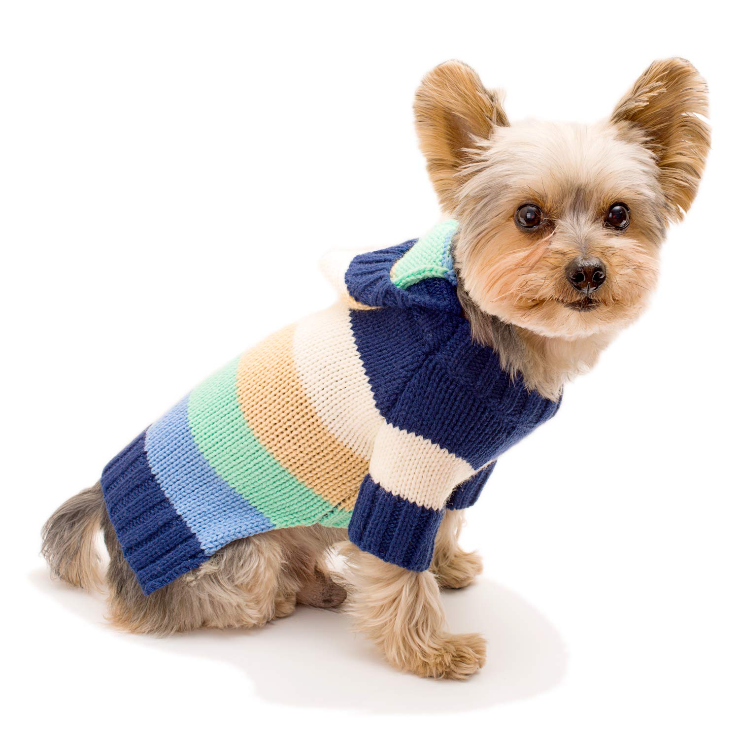 Stinky G Happy Stripes Hoodie Dog Sweater