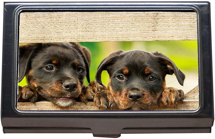 Amazon 名刺ホルダー ロットワイラーの子犬犬の犬かわいい動物の動物 名刺ケースステンレススチール 名刺ケース 整理箱 文房具 オフィス用品