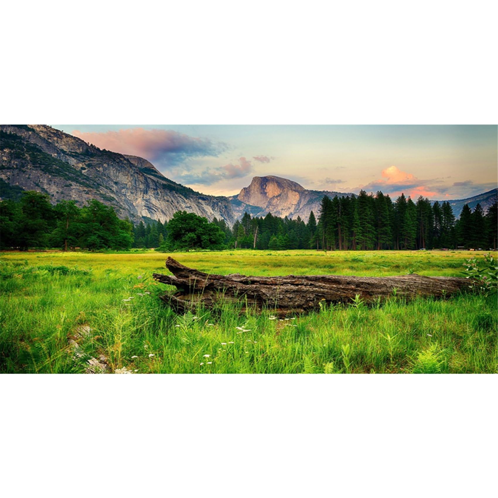 MIRRORANG 180x46cm Mountain and Forest Terrarium Background Nature Landscape Aquarium Background Sunny Meadow Reptile Habitat Background Durable Vinyl Background