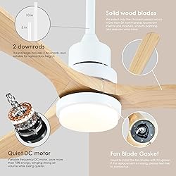 60" Outdoor Ceiling Fans with Lights and