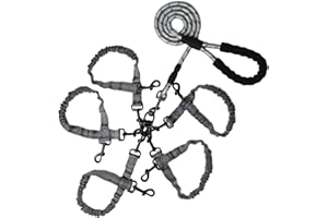 Y-ANNJYA Dog Double Leashes,Rope Bungee Three Leash with Padded Handle Removable for 3 Dogs,Tangle-Free, Padded Handles, 360° Swivel Control (Gray, 5 Way)