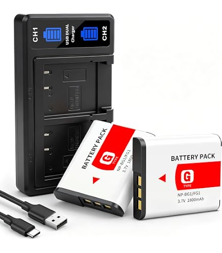 Amazon.com : Micro USB Battery Charger for Sony Cyber-Shot DSC