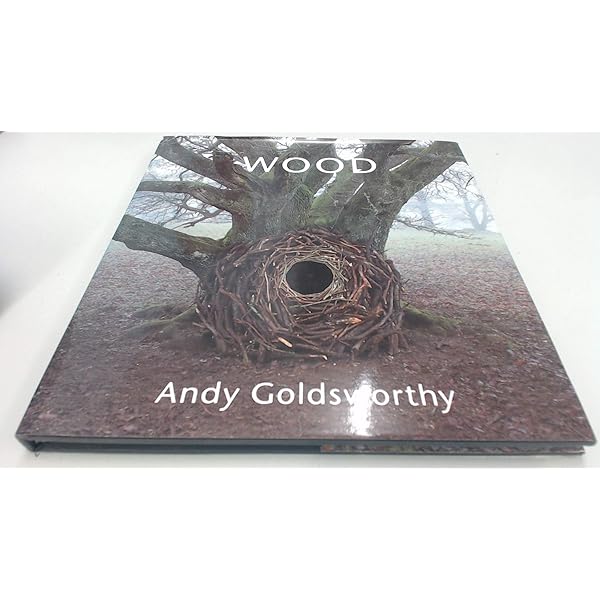 Andy Goldsworthy: A Collaboration with Nature: Goldsworthy, Andy