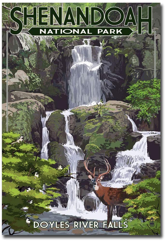 Which Is The Best Shenandoah National Park Refrigerator Magnets