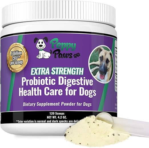 holistic probiotics for dogs