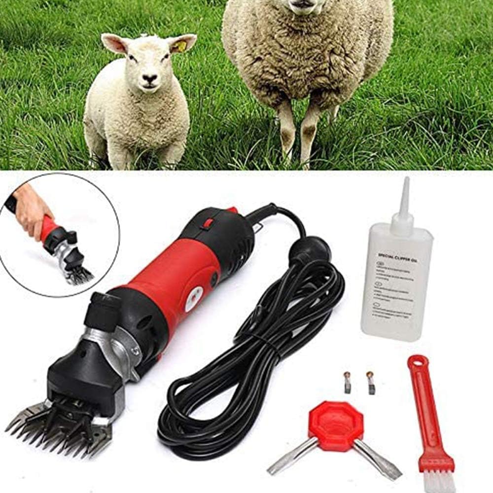 livestock grooming supplies