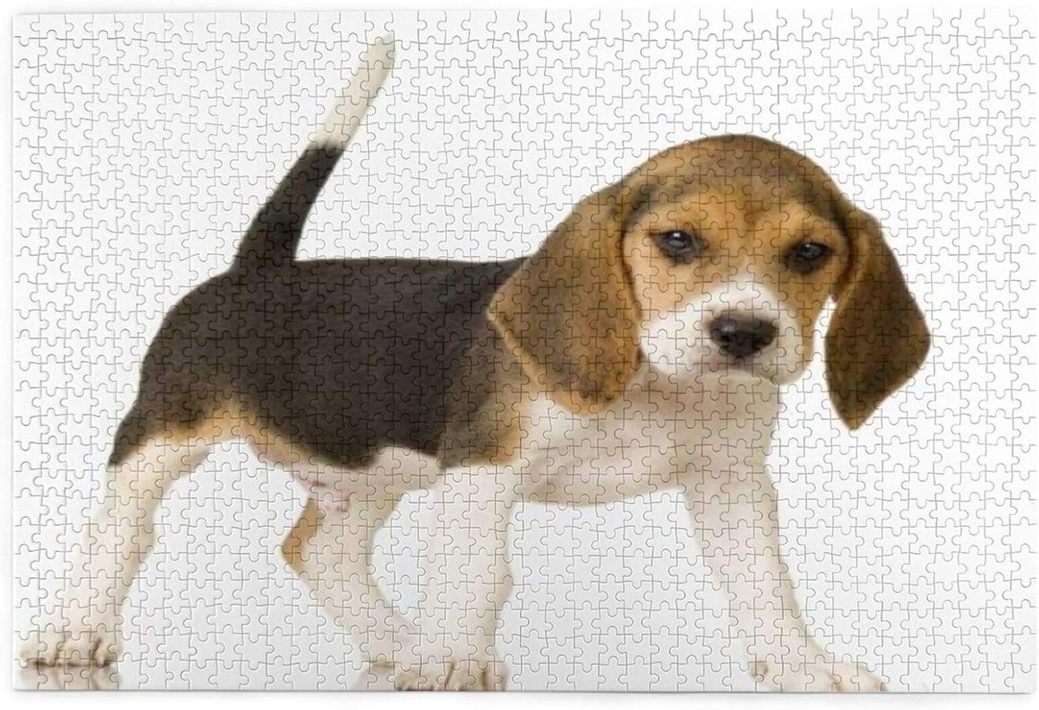 Yhouqukhdeueh Jigsaw Puzzles 1000 Pieces,Dog Beagle Animals Wildlife Retriever Canine Tail Puppy