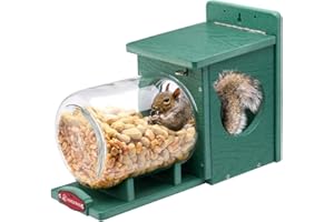 Kingsyard Recycled Plastic Squirrel Feeder for Outside, Squirrel Feeder Box with Peanuts Corn Storage Jar, Sturdy & Durable, Weatherproof (Green)