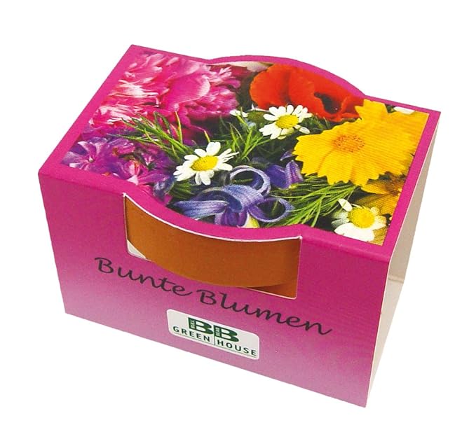 10er Set Minipflanzset Bunte Blumen