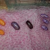 Huerto Urbano - Mix Brasicas - HU - Batlle: Amazon.es: Jardín