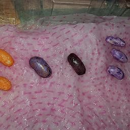 Huerto Urbano - Mix Hortalizas - HU - Batlle: Amazon.es: Jardín