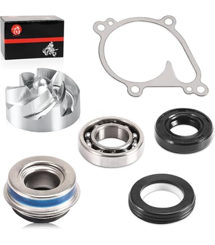 Amazon.com: DB Electrical WPK0061 Hot Rods Water Pump Repair Kit