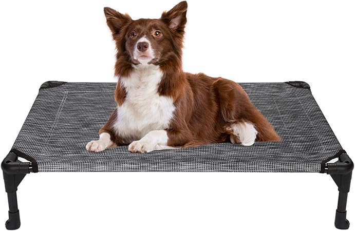 amazon coolaroo dog bed