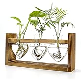 Air Plant Terrarium with Wooden Stand, Propagation Station with Heart Vase, Kawaii Terrarium, Gift for Plant Lovers, Hydroponics & Home Garden Decor