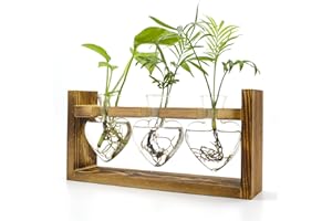 TECHSHARE Air Plant Terrarium with Wooden Stand, Plant Propagation Stations with Heart Vase, Kawaii Plant Terrarium, Gifts for Plant Lovers Women, for Hydroponics Home Garden Office Decoration