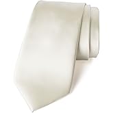 Spring Notion Men's Solid Color Satin Microfiber Tie, Regular and Skinny Width