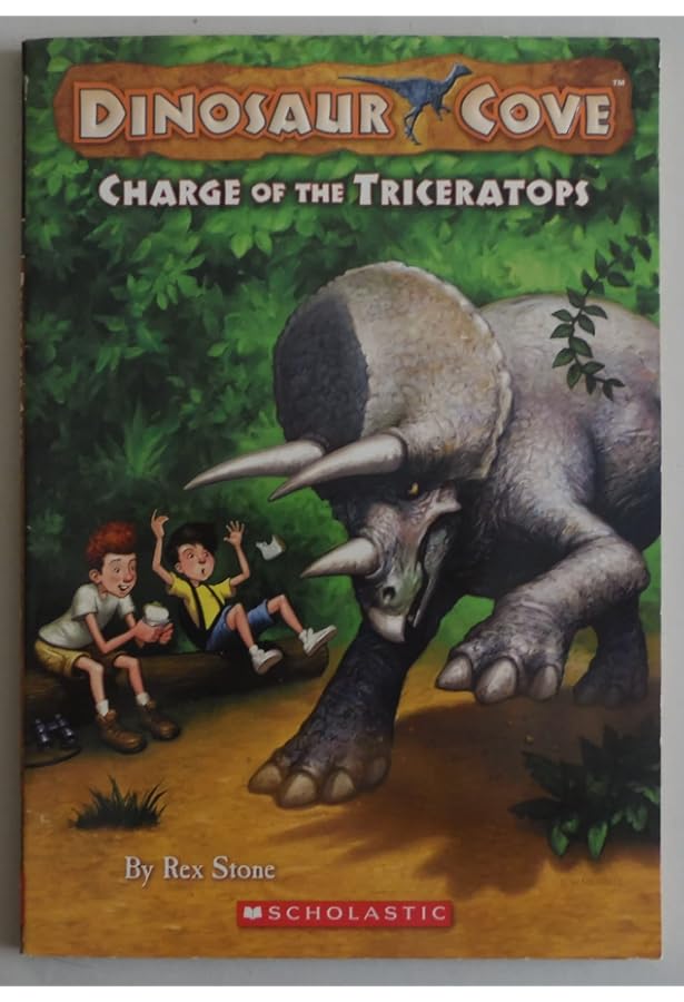 Dinosaur Cove Collection 20 Books Box Set: Rex Stone