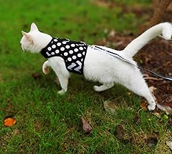 Yizhi Miaow Cat Harness and Leash for Walking