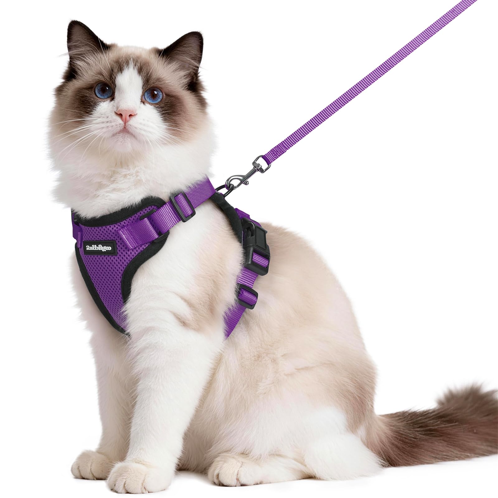 rabbitgoo Cat Harness and Lead Set, Adjustable Escape Proof Cat Lead for Walking, Reflective Kitten Harness Set, Soft and Comfortable for Medium to Large Cats, Purple, M