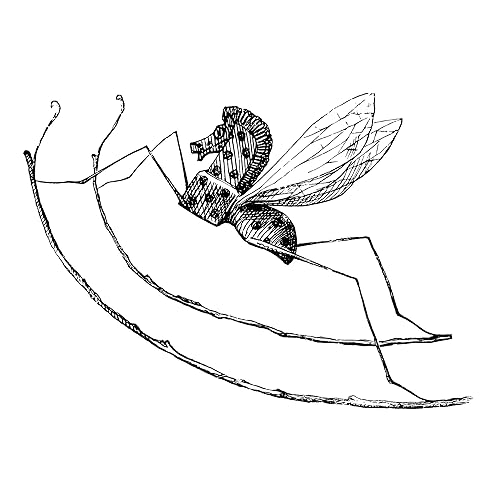 black and white rocking horse