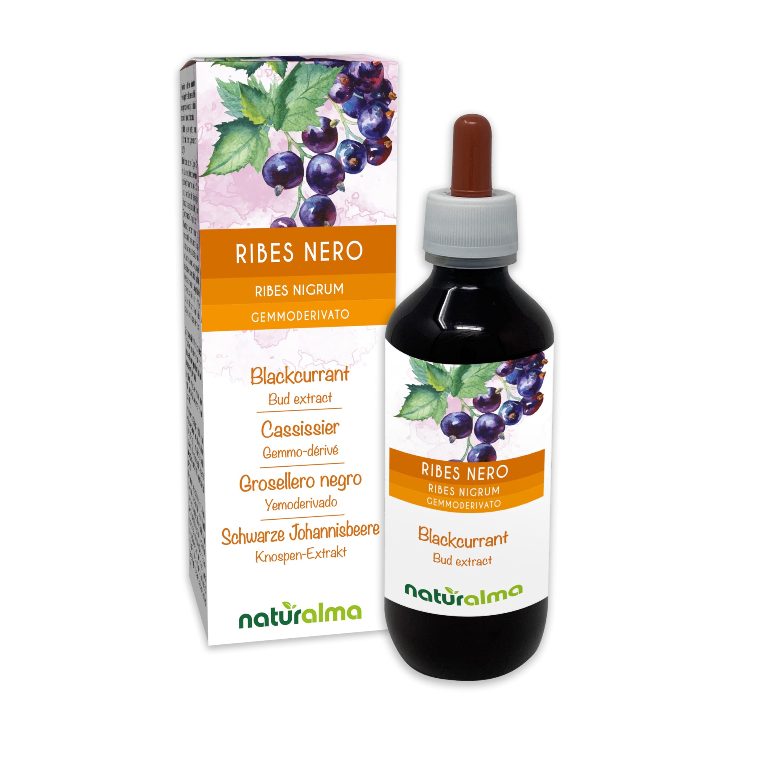 Blackcurrant (Ribes nigrum) Alcohol-Free Bud Extract from Fresh Buds Naturalma - Liquid Drops 200 ml - Food Supplement - Vegan