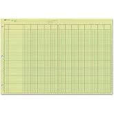 National Analysis Pad, 13 Columns, Green Eye-Ease Paper, Numbered Lines, Side-Punched, 11" x 16.375", 50 Sheets (45613)