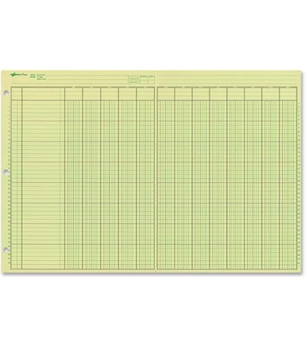 Wilson Jones Columnar Sheets, Ledger Paper, Ruled, 30 Lines, 20 Columns