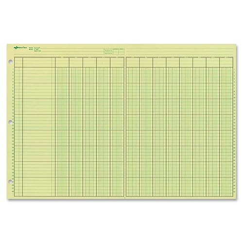 National Analysis Pad, 13 Columns, Green Eye-Ease Paper, Numbered Lines, Side-Punched, 11" x 16.375", 50 Sheets (45613)