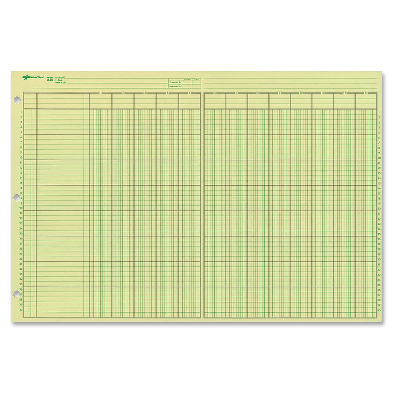 NATIONAL Brand Analysis Pad 13 Columns Green Paper 11 x 16.375"... Free