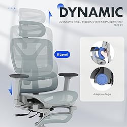 FLEXISPOT ErgoX Premium Ergonomic Office Chair with