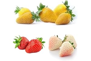 800+ Mix Strawberry Seeds for Planting, Non-GMO Heirloom White Yellow Red Climbing Strawberry Seeds, Everbearing Sweet and De