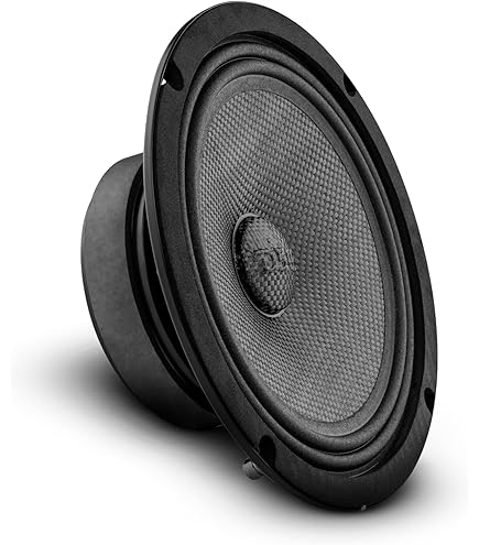 Amazon.com: DS18 8PRO300MB-4 PRO 8