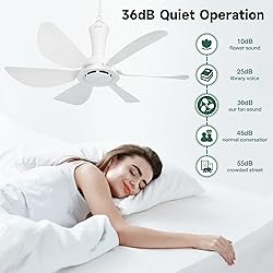 Roodike 22.5" Small Ceiling Fan for Outdooor