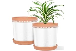 KERUITA 6 Inch Ceramic Plant Pot with Drainage and Saucer, Modern Plant Pots, Ceramic Planters for Indoor Plants,Set of 2-Crackle Glaze White