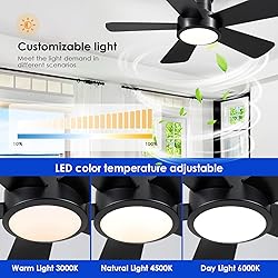 Ceiling Fans with Lights,Modern Low Profile Ceiling