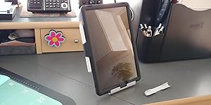 Review Image by CurnoworNever