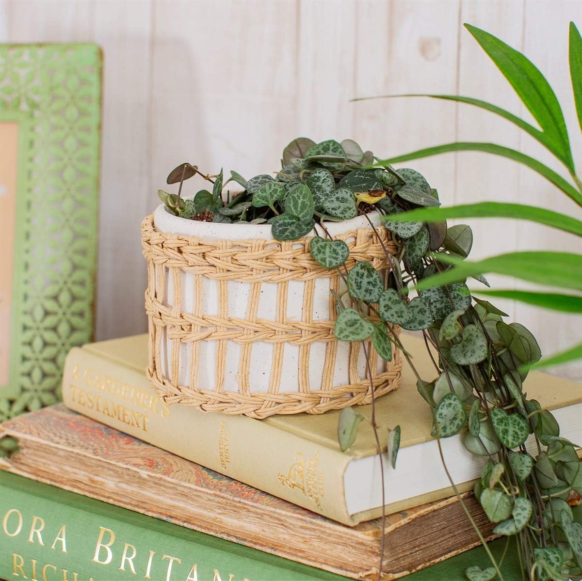 Sass & Belle Speckled White & Woven Planter, Brown - Image 3
