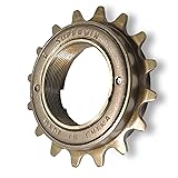 Hycline Single Speed Bike Freewheel: 16T Compatible