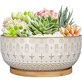 Fivepot 8 Inch Ceramic Succulent Planter Pots with Drainage Hole for Indoor Plants Round Shallow Bonsai Flower Pot with Bambo