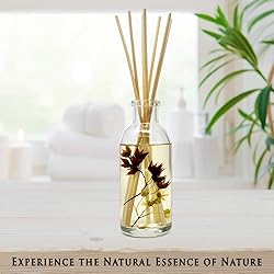 Urban Naturals Vanilla Woods Reed Diffuser Scent